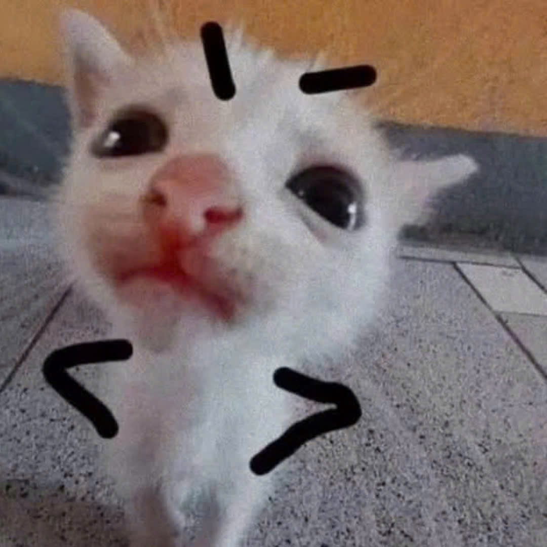 DongDuySHOP  | Hệ Thống Cày Thuê, Bán Acc Roblox Gía Rẻ